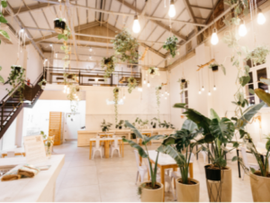 Furniture Cafe